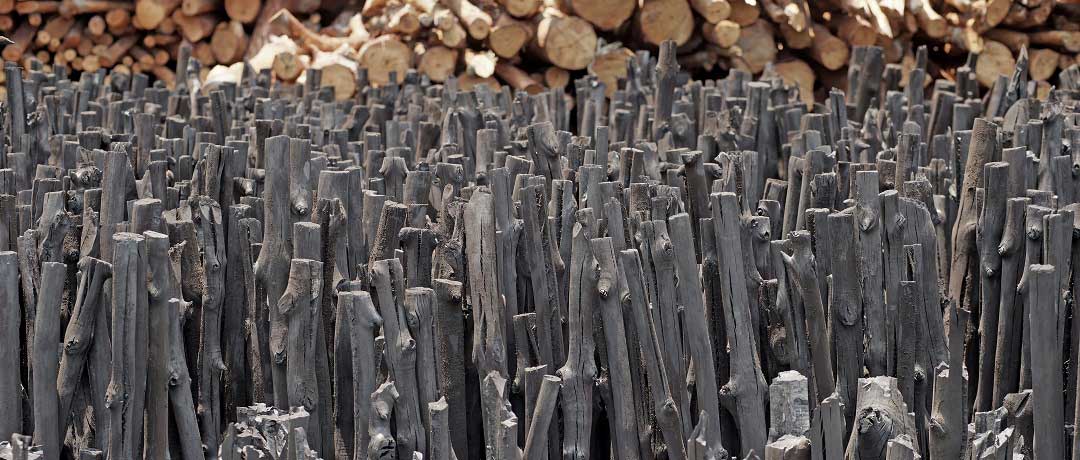 The Best Mangrove Charcoal Supplier Manufacturer And Exporter