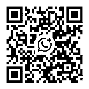 WhatsApp QR +66 91 825 1124